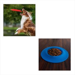 HH80027 Flying Disc Pet Bowl With Custom Imprint